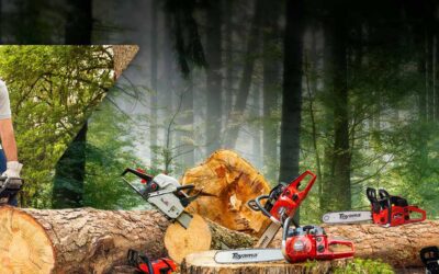 Consejos básicos para el mantenimiento de tu motosierra